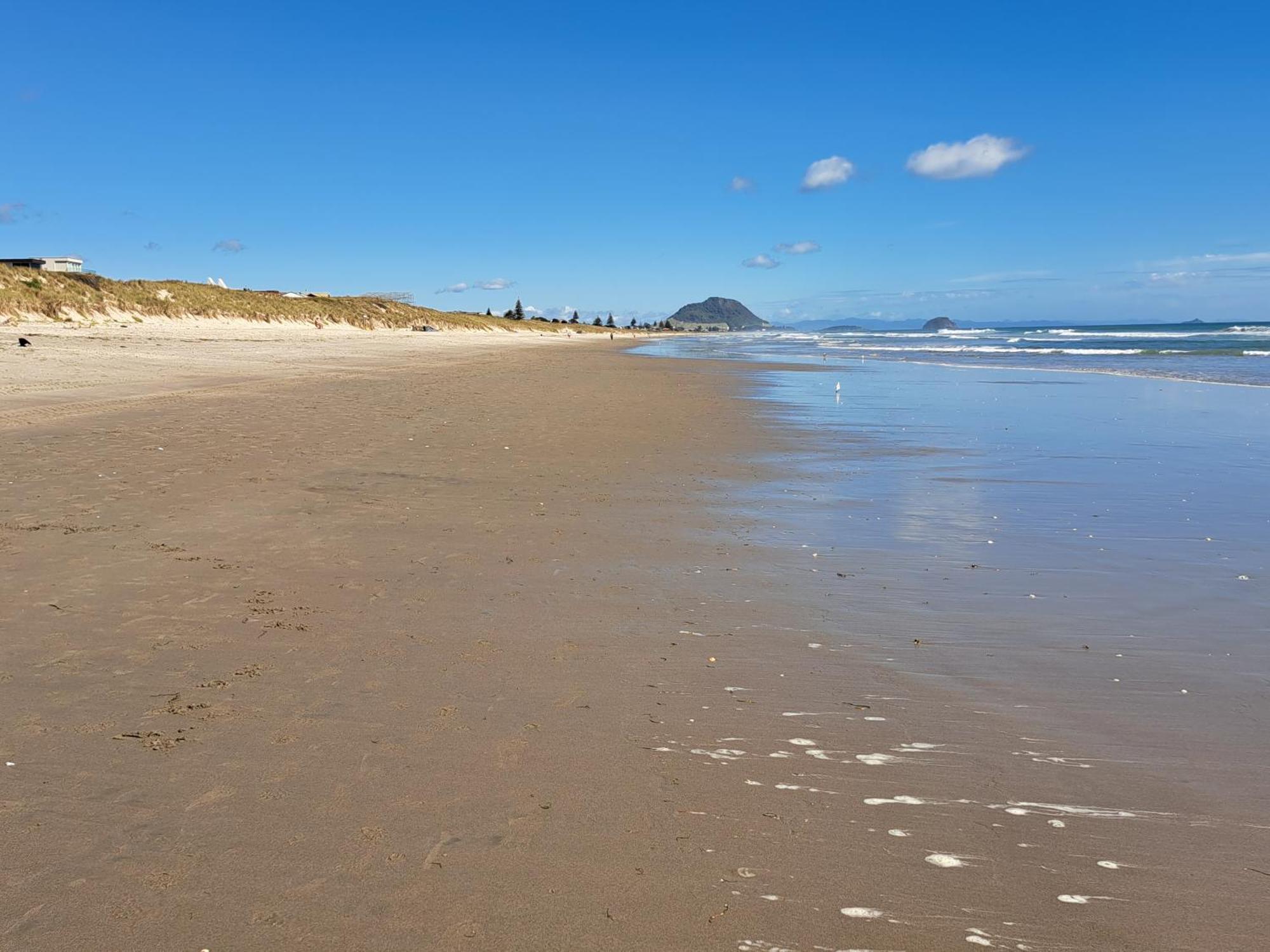 Sunbrae Beach Sanctuary Free High Fibre Wifi Mount Maunganui Exteriér fotografie